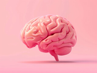 3D rendering of human brain model
