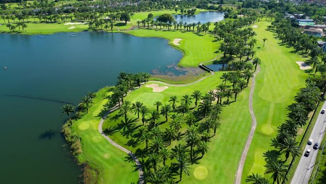 Lake with palm trees. Dron video