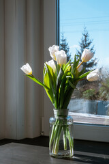 White tulip flowers on a home interior background near window. Sunny spring. Side view of beautiful bouquet. Valentines day, Mothers day, Womens day, birthday gift. Text place. Greeting card. Decor