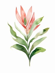 Watercolor painting of a single branch of Christina, the top is red and the rest of the leaves are green.