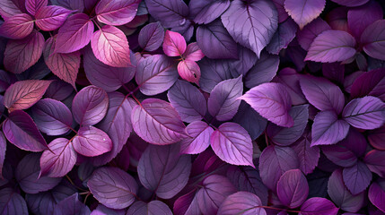 Purple Leaves Plain Background Monochromatic