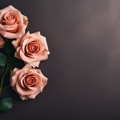 Rose background with dark rose paper on the right side, minimalistic background, copy space concept, top view, flat lay