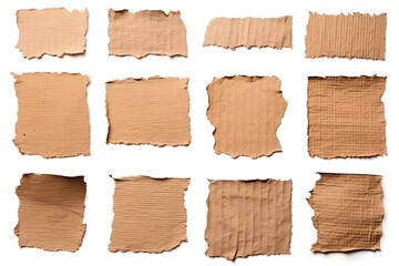 Collection of ripped pieces of corrugated cardboard isolated on white background