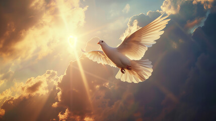 Graceful White Dove Soaring in Dramatic Sunset Sky with Sunbeams - obrazy, fototapety, plakaty