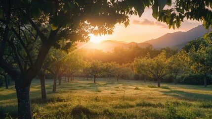 Sunrise illuminates peach orchard, matching soft hues with peach fuzz colors, crafting a picturesque and serene ambiance. Peach fuzz color