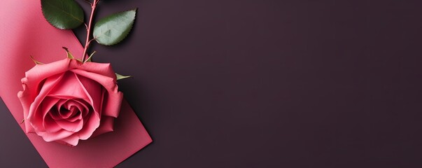 Rose background with dark rose paper on the right side, minimalistic background, copy space concept, top view, flat lay