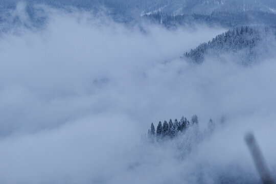 fog over snowy forest landscape
