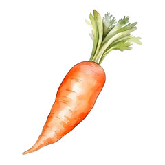 carrot easter day watercolor style, illustration.