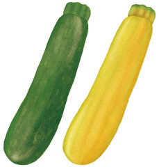 緑と黄色のズッキーニのイラストセット