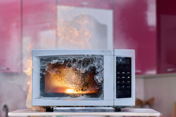 Household electrical appliance caught fire due to malfunction, microwave oven ignited and caused...