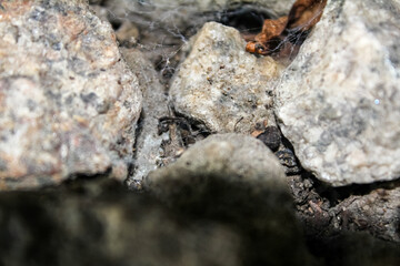 Extreme close-up view of the rocks on the old railway. Different shape of rocks on the railway....