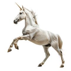 A unicorn rearing up on white background,png