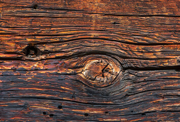 Holz - Alt - Struktur - Baum - Allgäu 