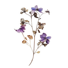 Close-Up View of a Dried Purple Flowers