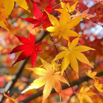 A pile of colorful fall leaves.

