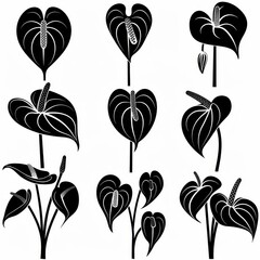 Anthurium (tailflower, flamingo flower, laceleaf) Pot Plant Icon Set, Anthurium Plant Flat Design - obrazy, fototapety, plakaty
