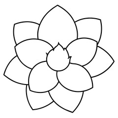 illustration of a flower