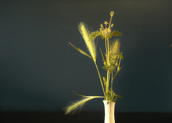 Ramillete de malas hierbas