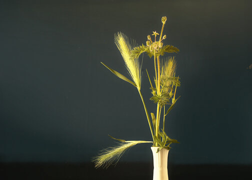 Ramillete de malas hierbas