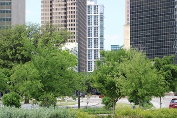 Trees growing in one of several parks in downtown area of Dallas. The overall  effect is to reduce the heat island  created by asphalt and cement, not to mention a place to spend your lunch hours.