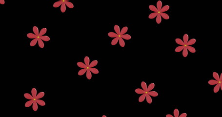 Fototapeta na wymiar Image of rows of chinese red flowers with copy space on black background