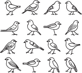 pattern with birds