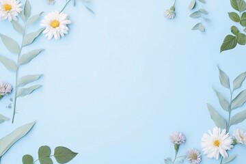 Flowers composition. White daisies, eucalyptus leaves on blue background. Flat lay, top view, copy space