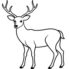       Deer  vector illustration style.
