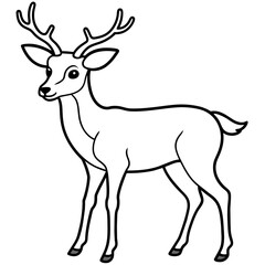       Deer  vector illustration style.
