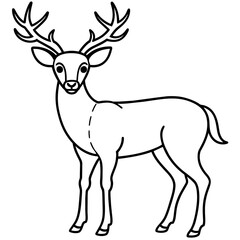       Deer  vector illustration style.
