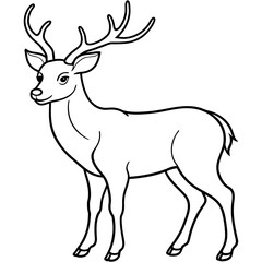       Deer  vector illustration style.
