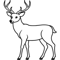       Deer  vector illustration style.

