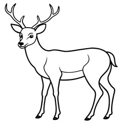       Deer  vector illustration style.
