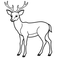       Deer  vector illustration style.
