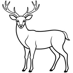       Deer  vector illustration style.
