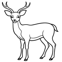       Deer  vector illustration style.
