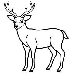       Deer  vector illustration style.
