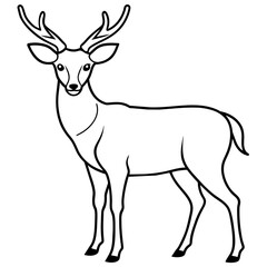       Deer  vector illustration style.
