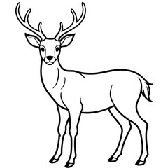       Deer  vector illustration style.
