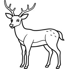       Deer  vector illustration style.
