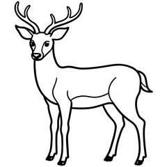       Deer  vector illustration style.
