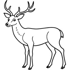       Deer  vector illustration style.
