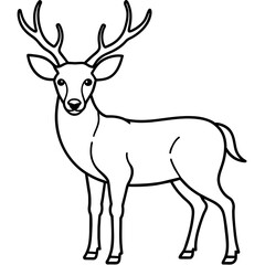       Deer  vector illustration style.
