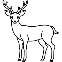       Deer  vector illustration style.
