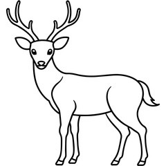       Deer  vector illustration style.
