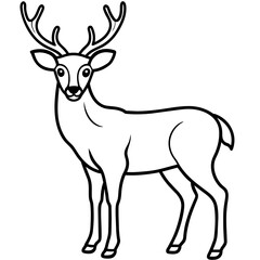       Deer  vector illustration style.
