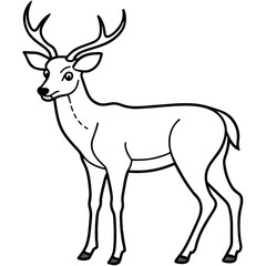       Deer  vector illustration style.
