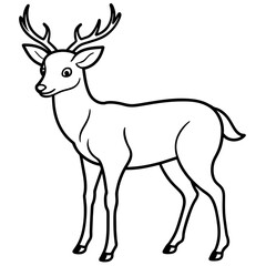       Deer  vector illustration style.
