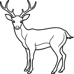       Deer  vector illustration style.
