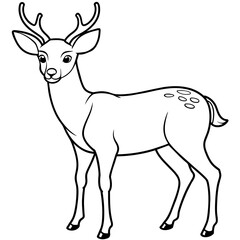 Fototapeta premium Deer vector illustration style. 
